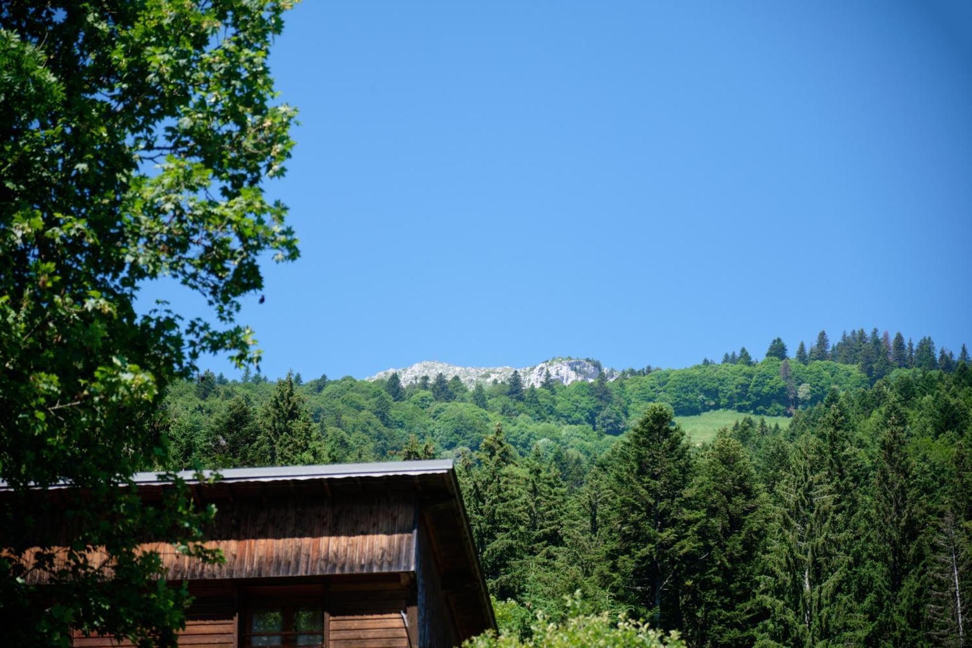 Chalet Le Lys Martagon Saint-Pierre-d'Entremont  Luaran gambar